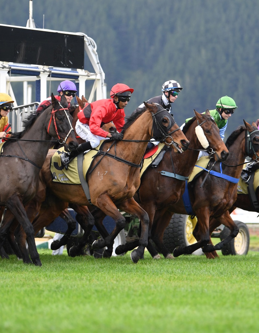 Horse Racing