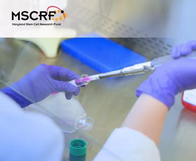 MSCRF Announcement