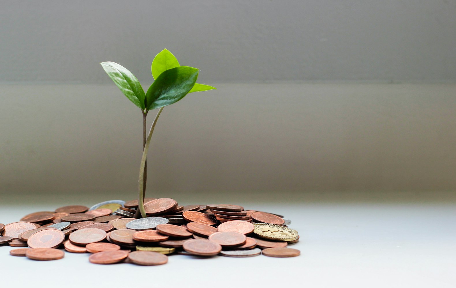 RRSP vs TFSA: Which Lowers Your Tax Bill?