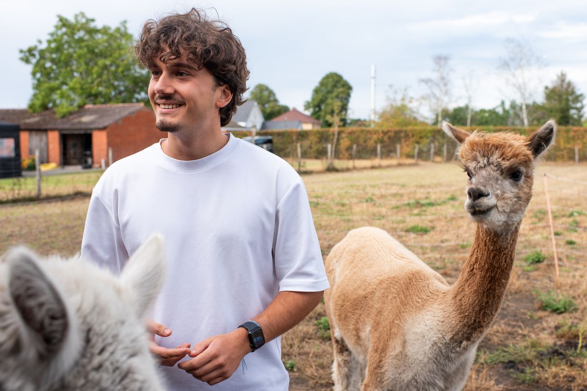 A Telsmart colleague laughing next to two alpacas in a field in Kasterlee
