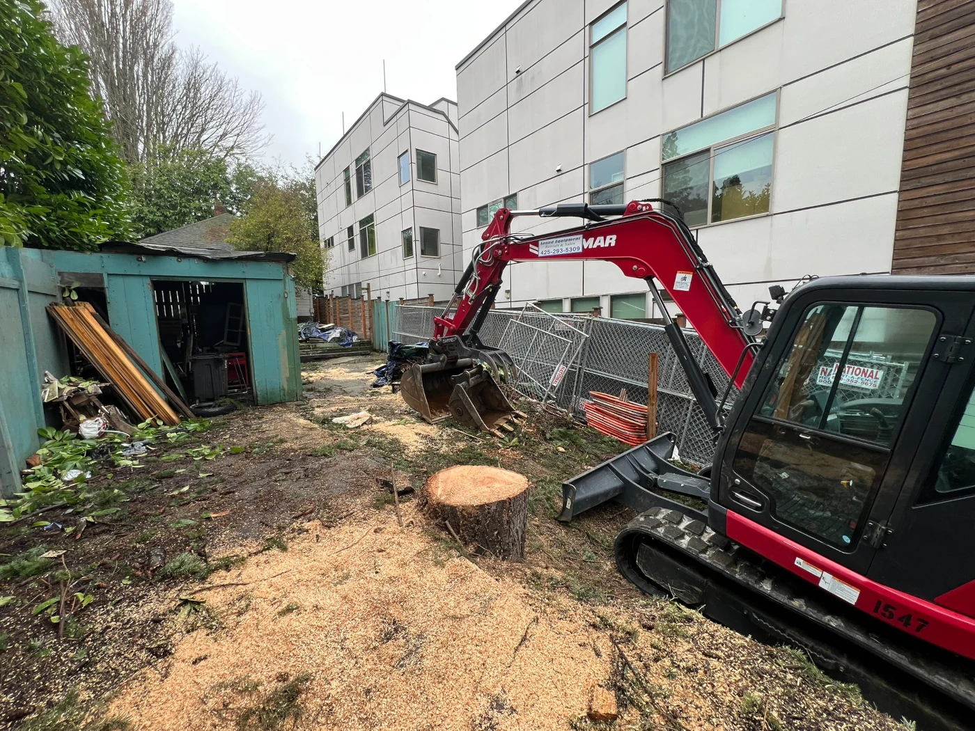 Compact excavator staged beside a fresh tree stump and sawdust with an old shed awaiting demolition