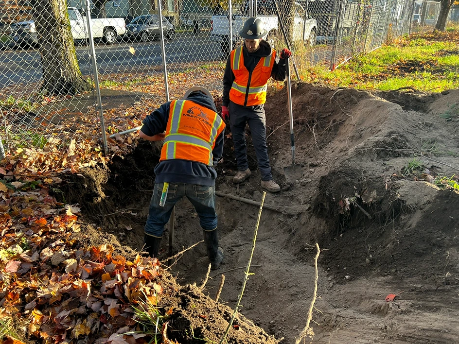 Contractors clearing tree roots from a freshly dug trench on a Seattle-area site 