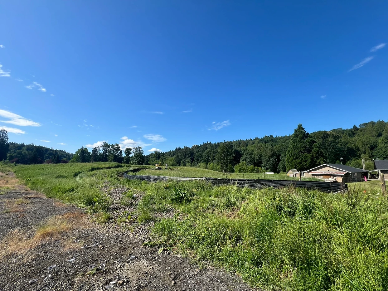 A vacant lot filled with overgrown grass in a remote Seattle area