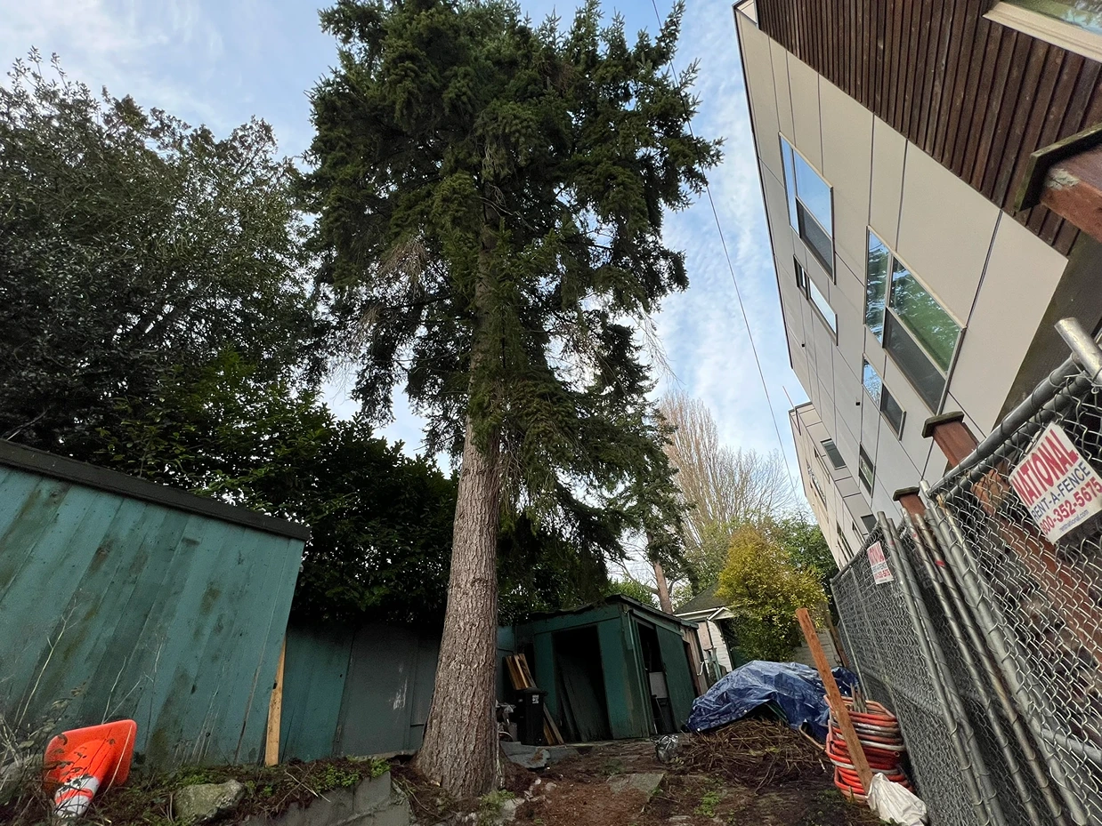 Full Site Prep for a New Development in Seattle, WA Before 11