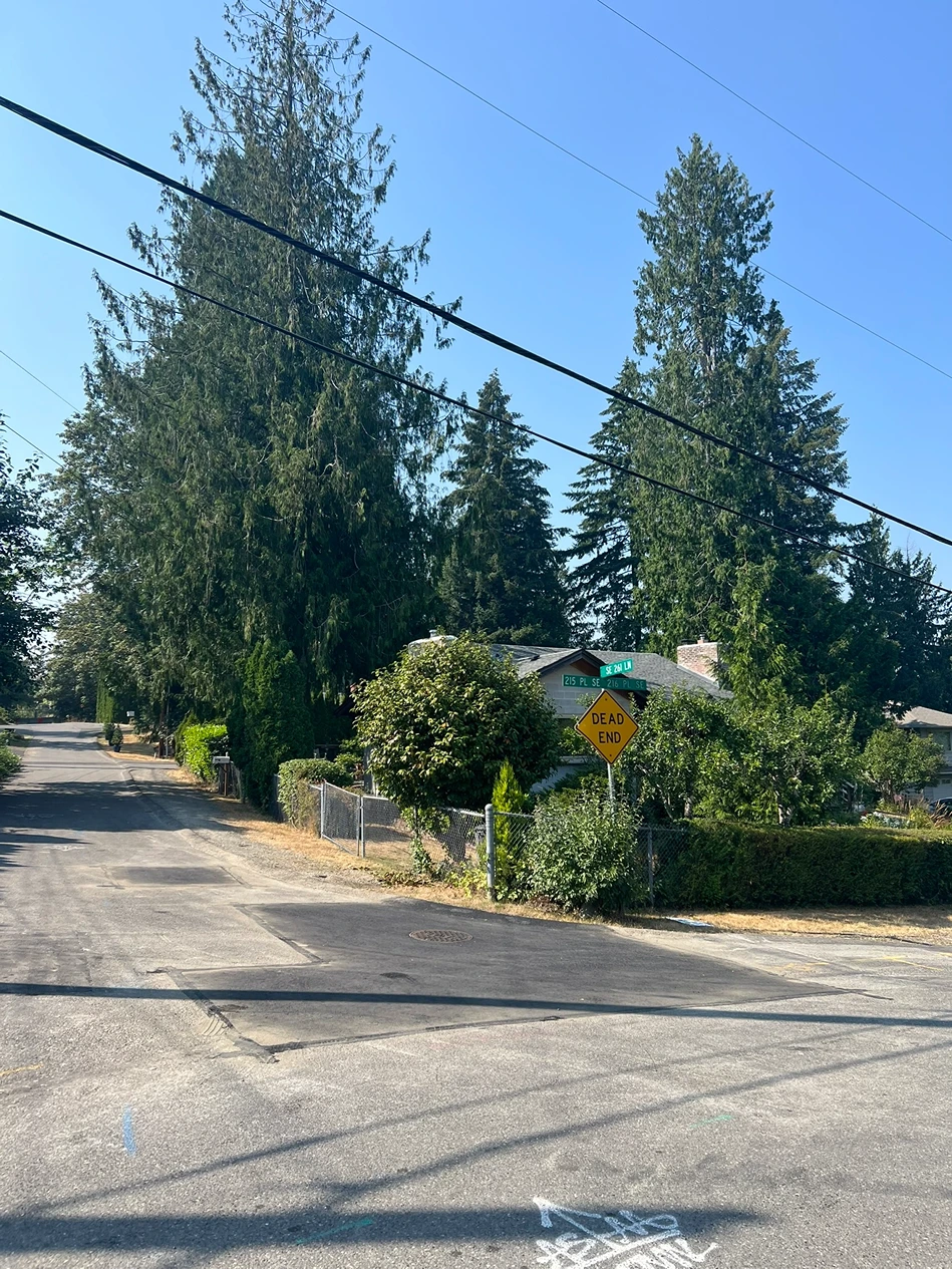 Sewer Cleanout and Manhole Installation in Maple Valley, WA After Image 9
