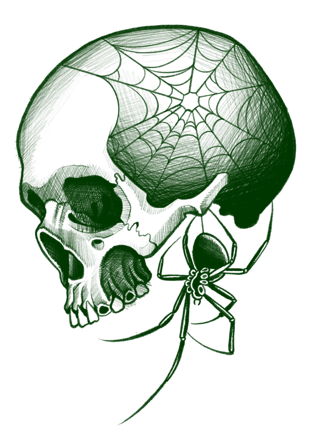 Tattoo flash of a skull profile with a spider web pattern on the cranium and a black widow spider dangling below.