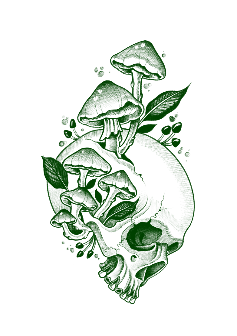 Tattoo flash of a skull with mushrooms and leaves growing from it, with dripping ink detail, in green ink.