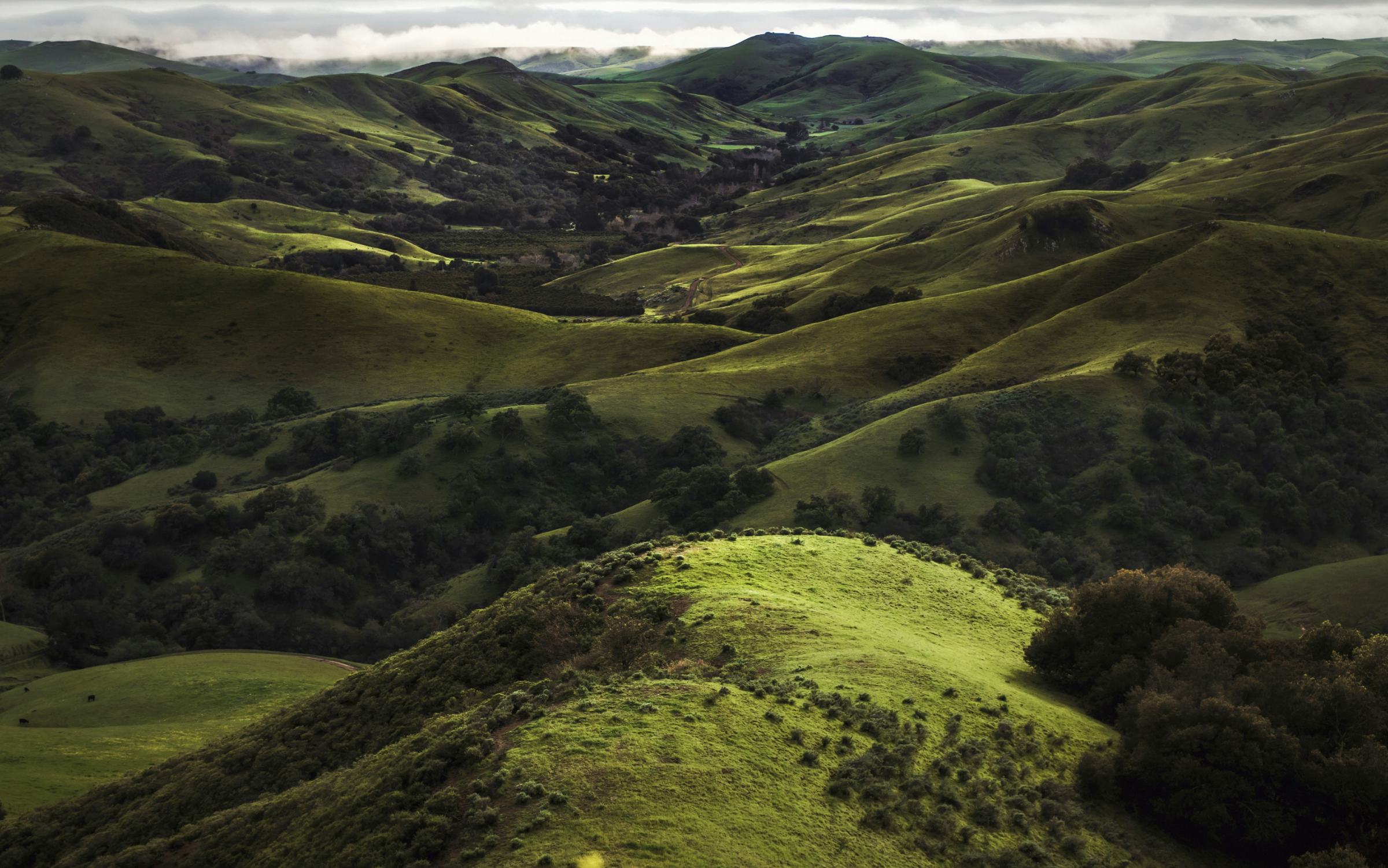 Rolling green hills under a low grey sky, with a sunlit ridge in the foreground