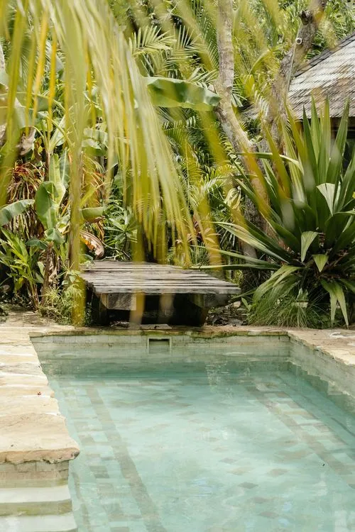 Swimming pool with tropical trees behind. 