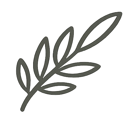 Simple black olive branch illustration with seven leaves on transparent background.