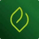 Logo 11