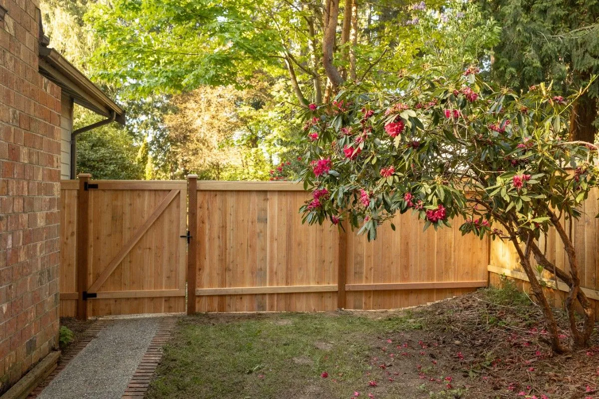 Wood fence installation with a cedar privacy panel and matching gate beside a brick home