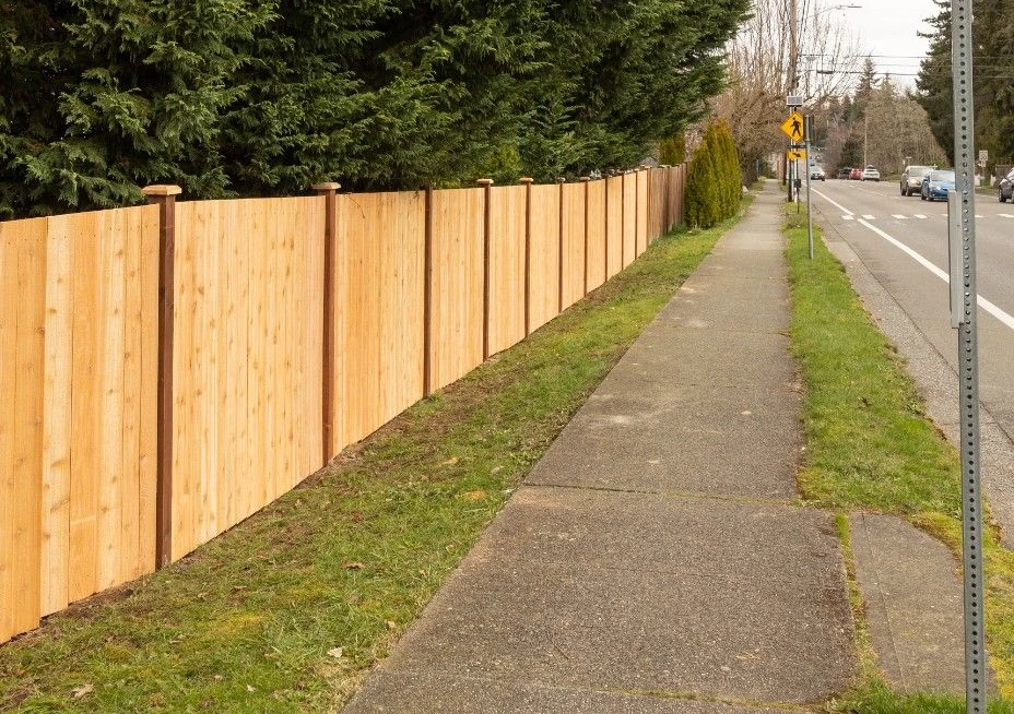 Tall cedar privacy fence with post caps stretching along a roadside sidewalk