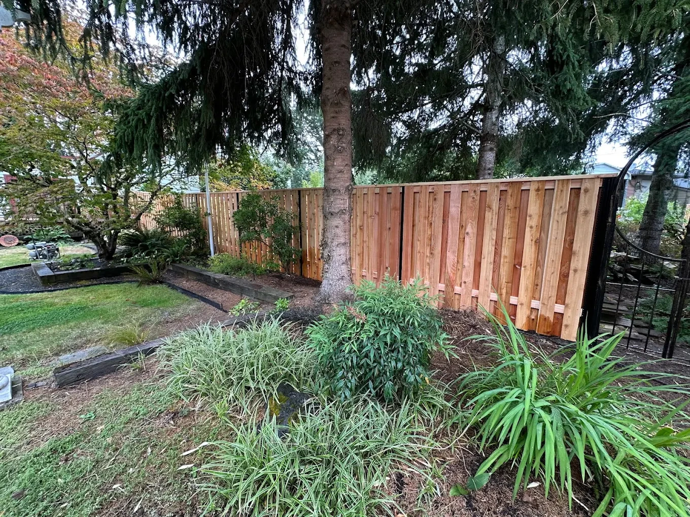 Completed wood fence surrounding a residential backyard area