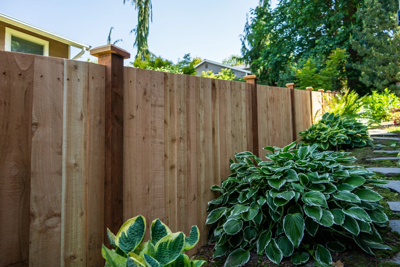 Cedar wood fence panels installed in a residential yard