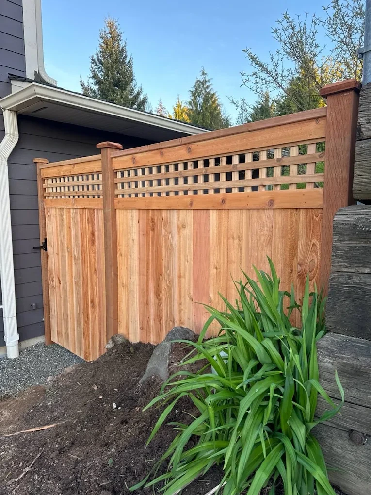 Fresh cedar fence panels installed for backyard privacy