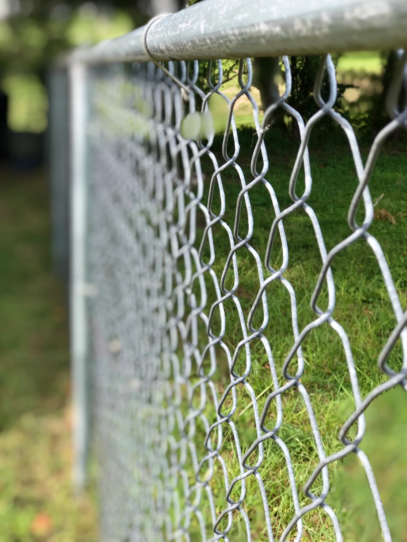 Galvanized chain link fence securing a spacious residential yard