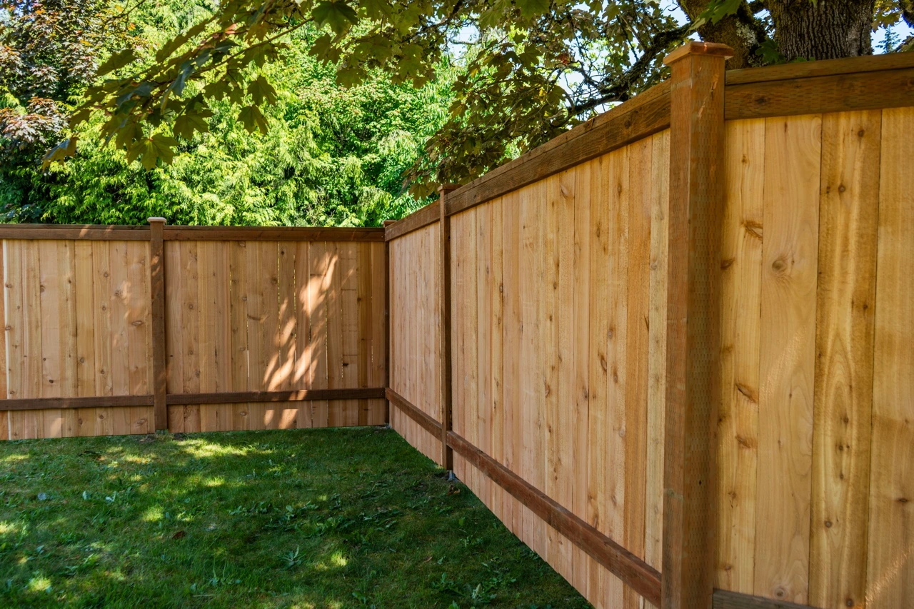 New cedar wood fence panels in a residential backyard