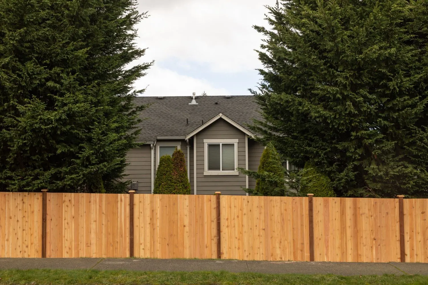 Newly installed cedar fence in a Vancouver home surrounded by tall trees