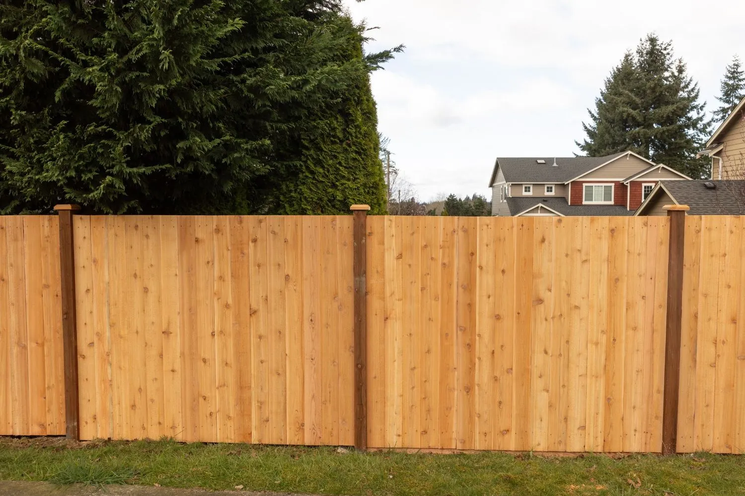 Cedar fencing installed near a tall shrub in a Portland, OR residential area