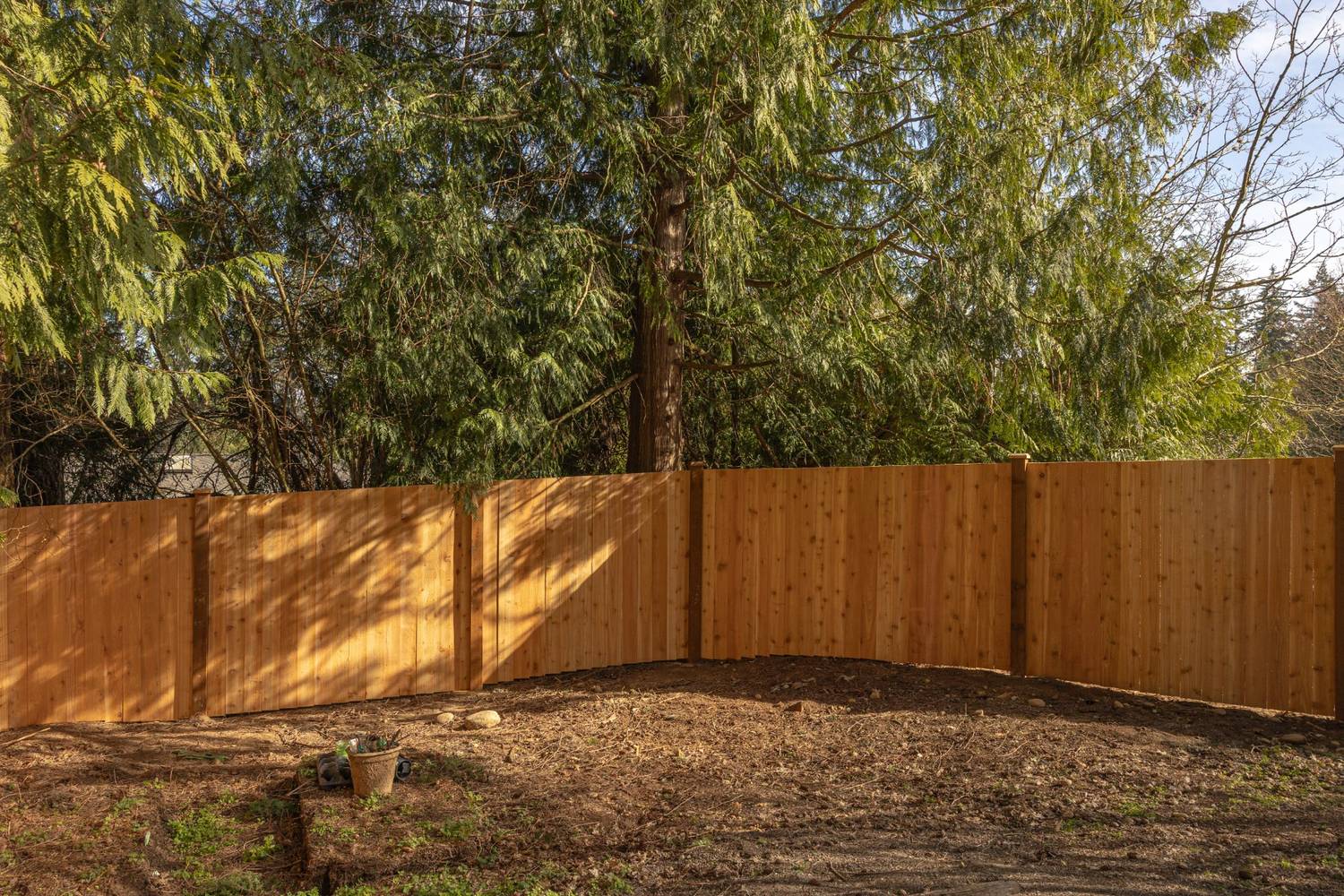 Cedar fencing installed in a backyard surrounded by trees in Pacific Northwest