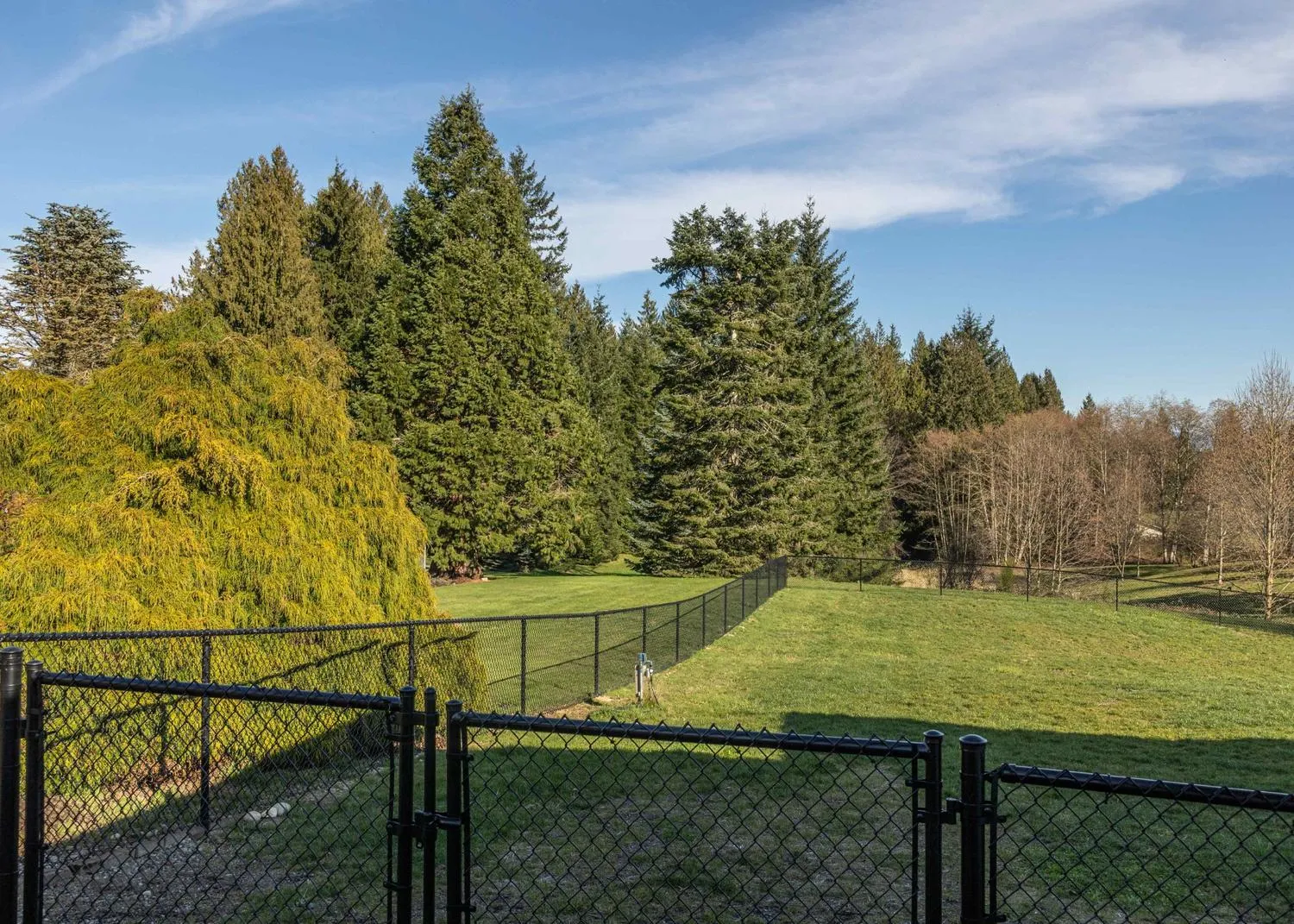 A vacant farmland surrounded by black vinyl-coated chain link fence in SW Washington