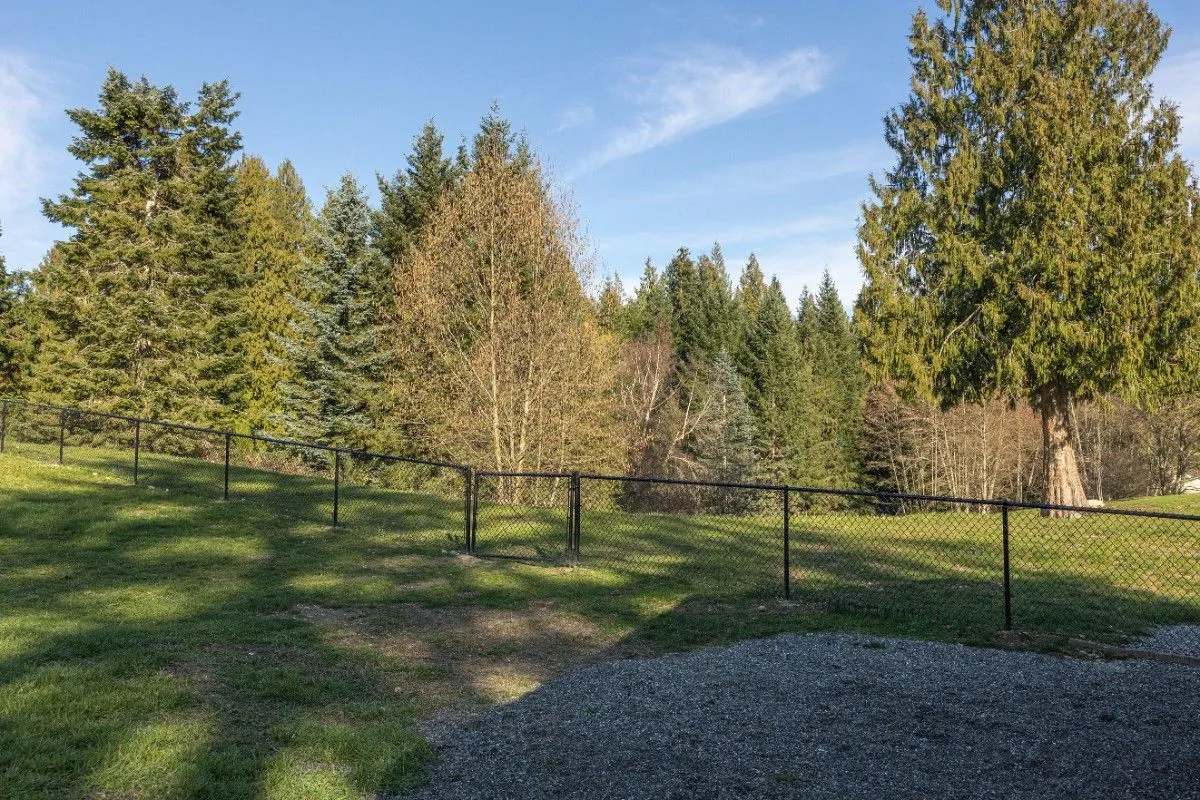 Newly installed black vinyl-coated chain link fence in a remote property in Vancouver