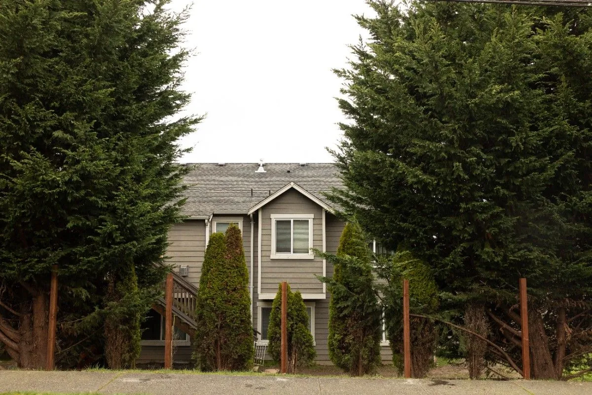 Old wooden fence torn down for replacement in Vancouver