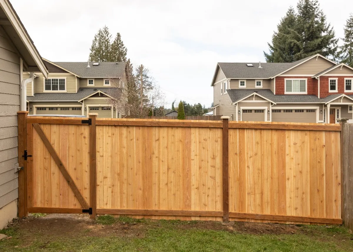 Newly installed wooden fence in a Vancouver frontyard from the inside