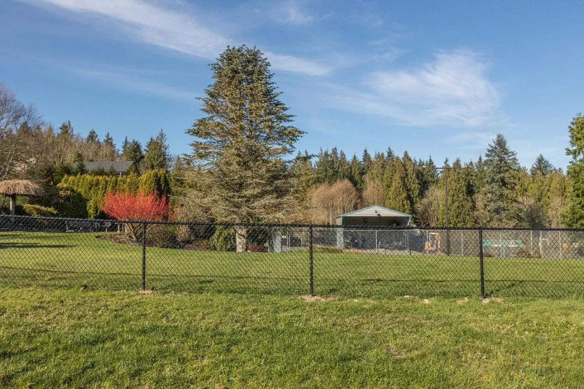 A black chain link fence with tall trees and toolshed in the background
