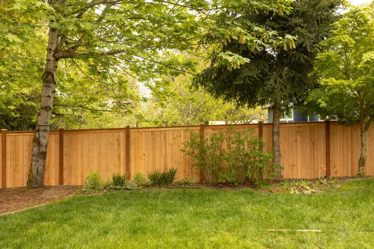 Wooden fence in a West Linn backyard surrounded by tall trees