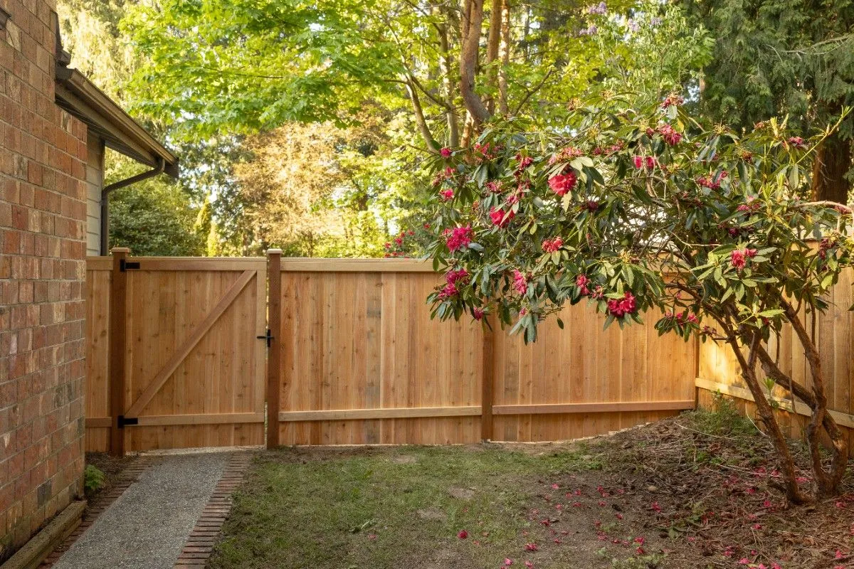 Wooden gate and privacy fence leading to a backyard in Ridgefield