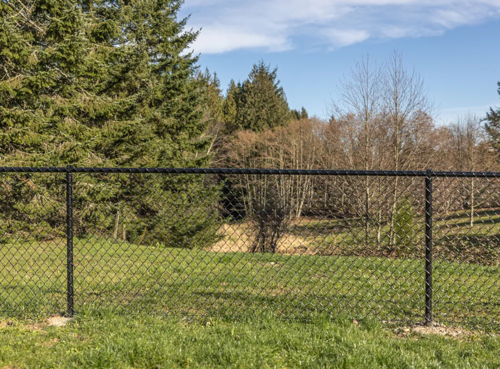 A chain link fence enclosing a property surrounded by nature in Vancouver