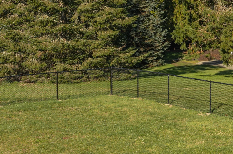 A black chain link fence in a grassland in Vancouver