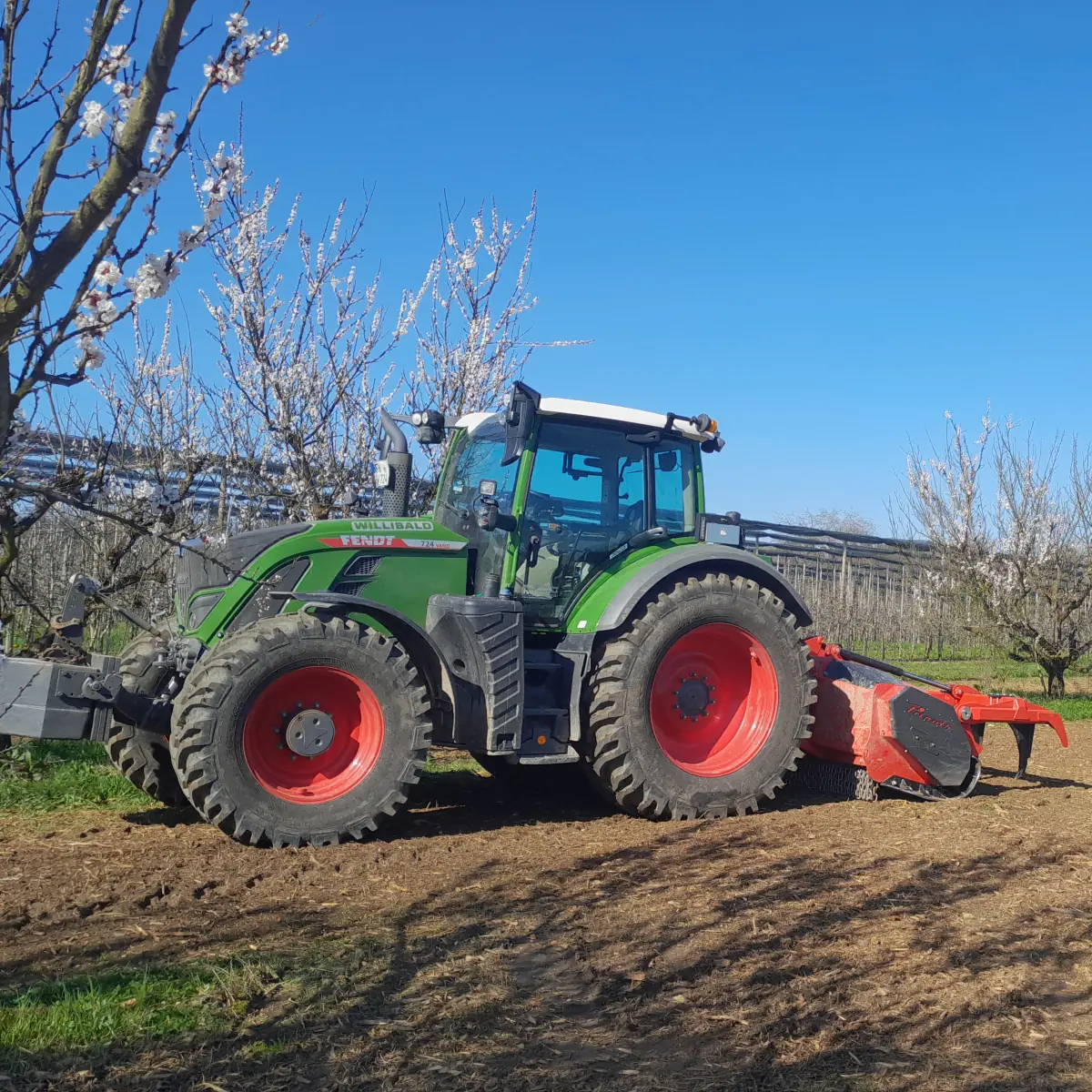 Forstmulcher am Traktor in einer Obstanlage