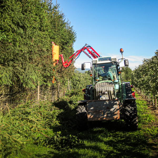 Traktor mit Auslegerschere an einer Baumreihe