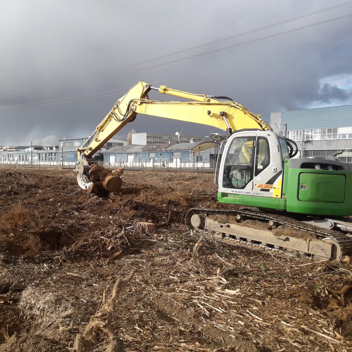 Bagger auf einer Rodungsfläche