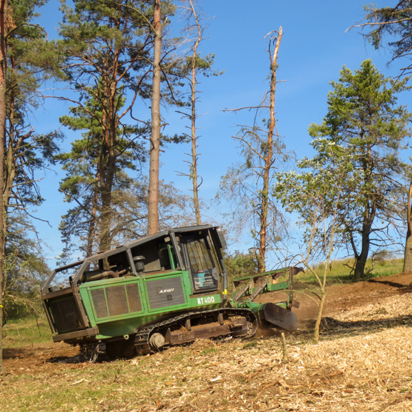 Raupen-Forstmulcher im Wald