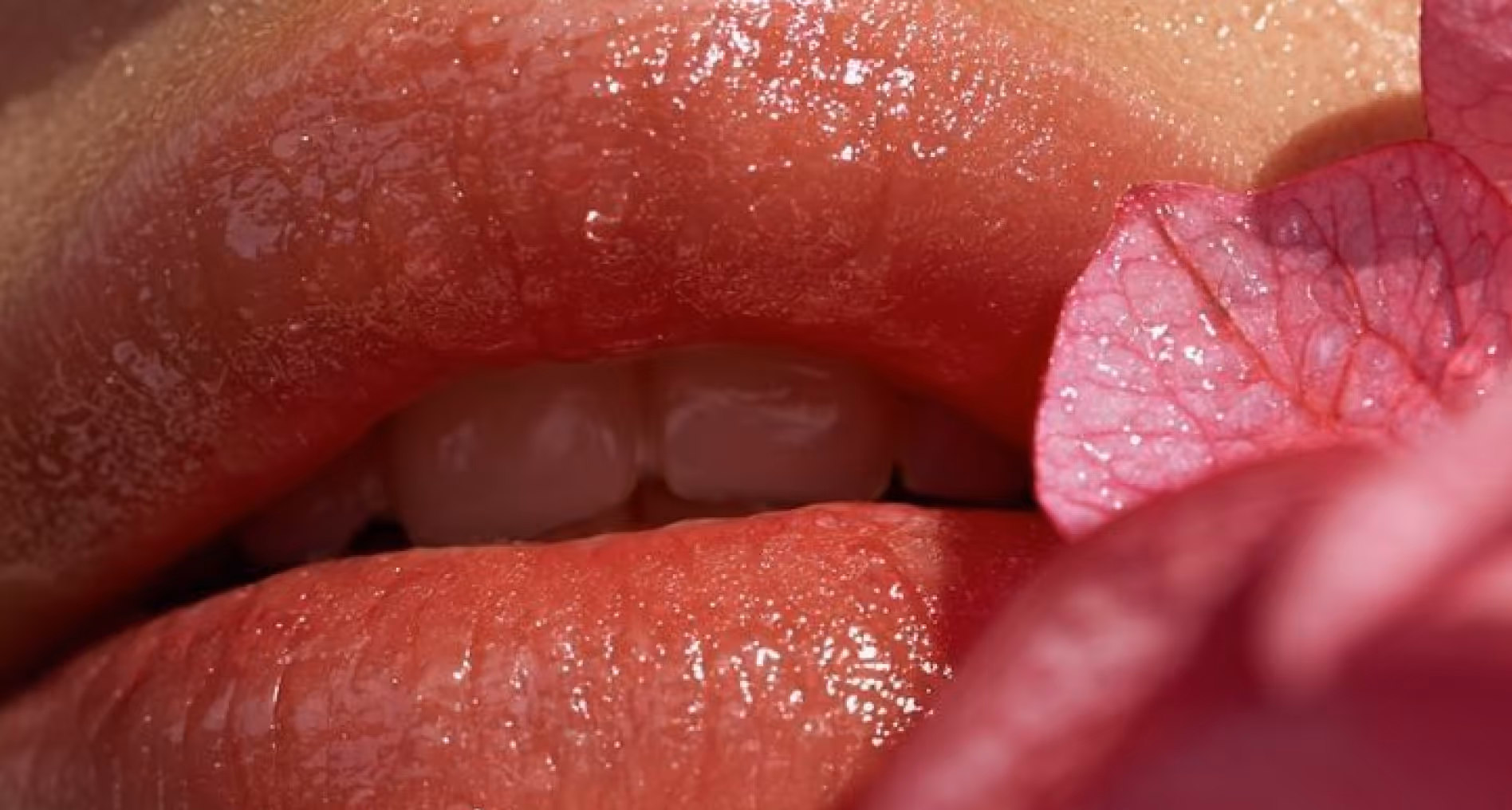 Close-up of glossy, slightly parted lips with visible teeth and a pink flower petal nearby.