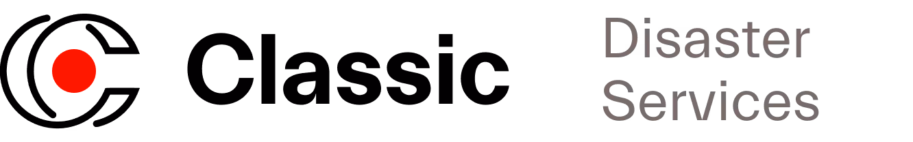 Red circle icon next to the text 'Disaster Services' on a black background.