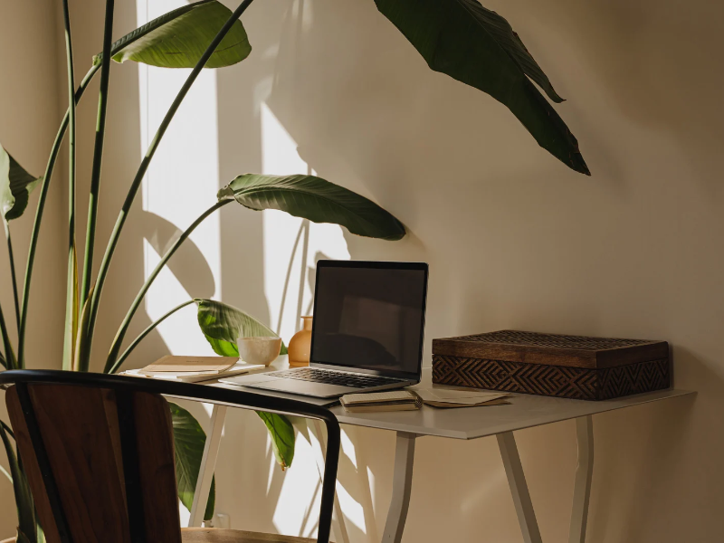 Minimalist workspace with a laptop on a white desk, a wooden chair, large green plant leaves, a cup, a notebook, and a decorative wooden box, bathed in warm natural light.