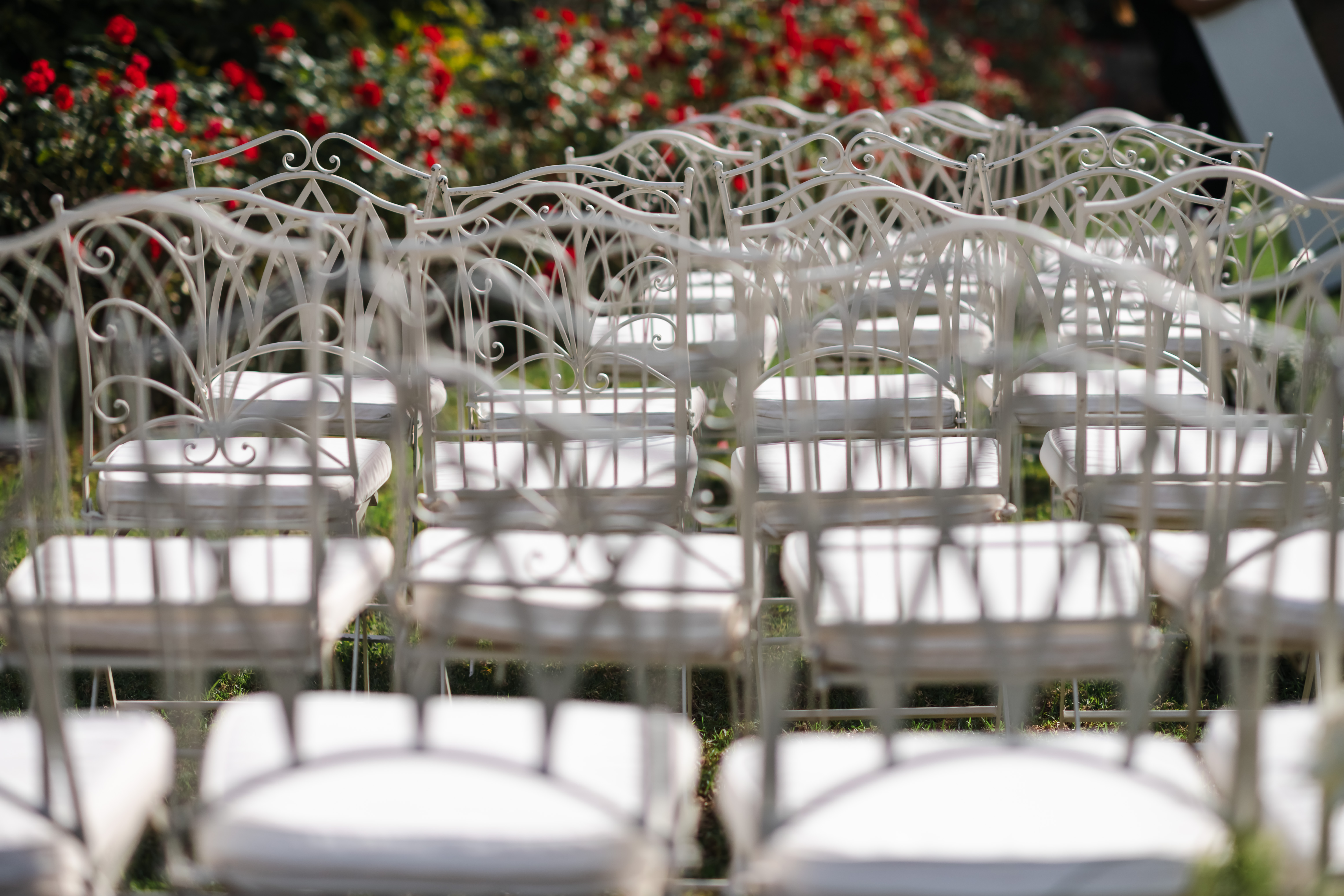 Wedding Chairs arranged on a lawn