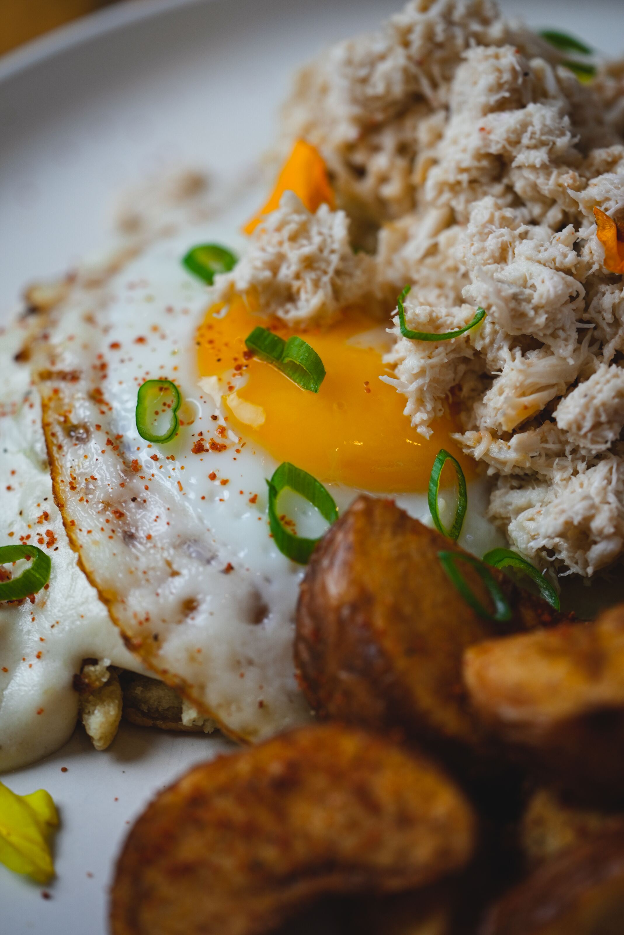 Food Photography