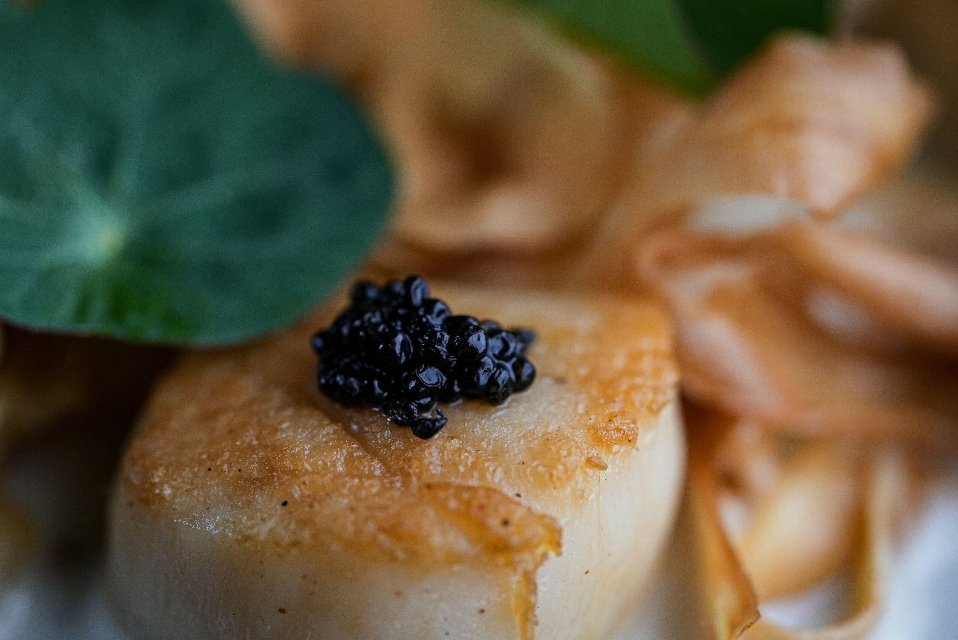 Food Photography