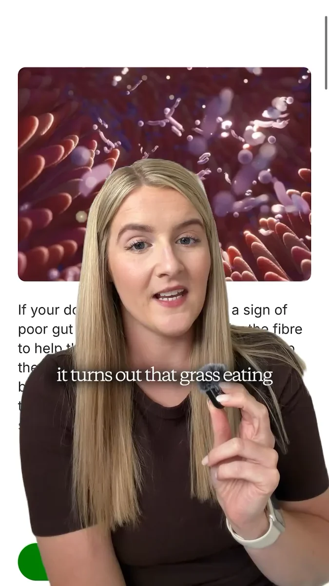 PetLab grass-eating awareness video, representative still