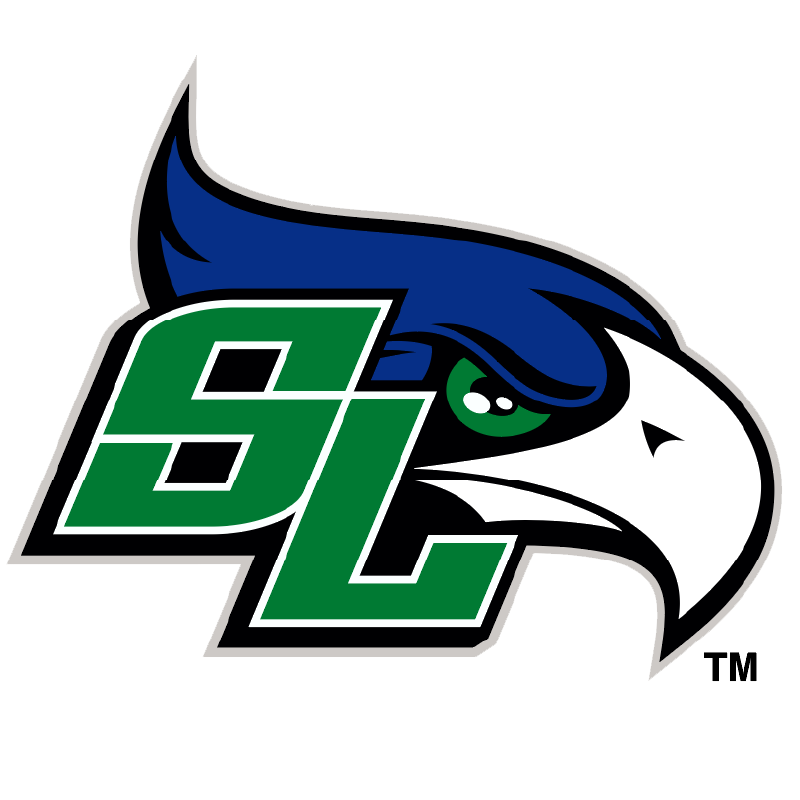 South Lakes