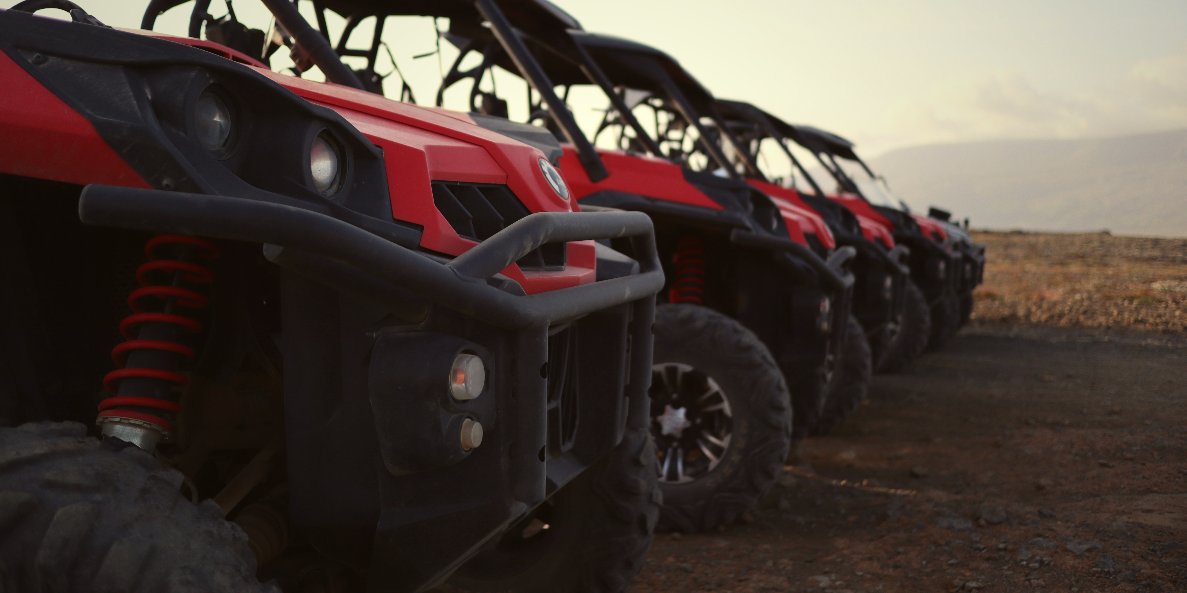 Balade en Buggy - Palmeraie
