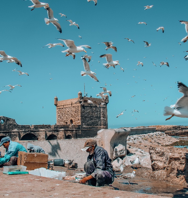 Essaouira