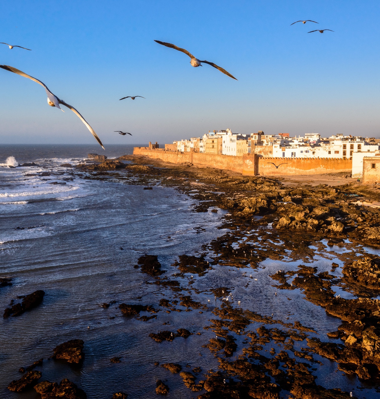 Essaouira
