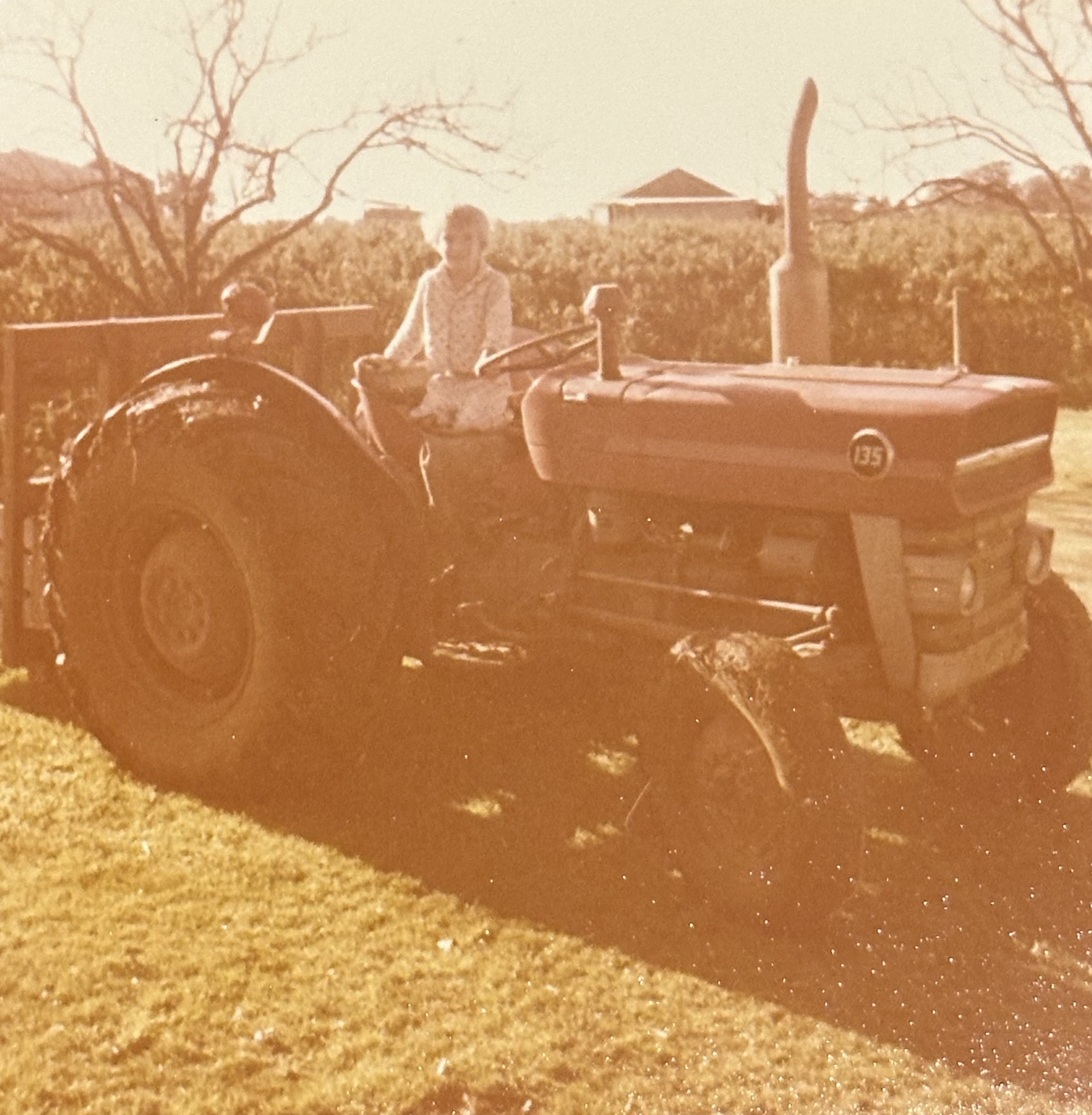 A family farm — where people just turned up to lend a hand